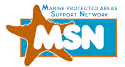 MSN Logo